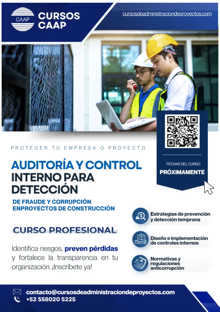 Auditoria Control Interno flyer 2026